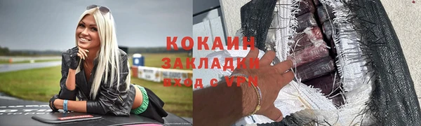 дурь Пересвет