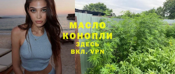 дмт Переславль-Залесский